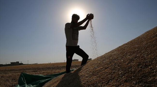 Karaman'da kuraklıktan zarar gören çiftçilere destek
