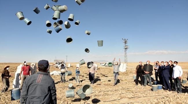 Karaman&#039;da patates hasadı başladı