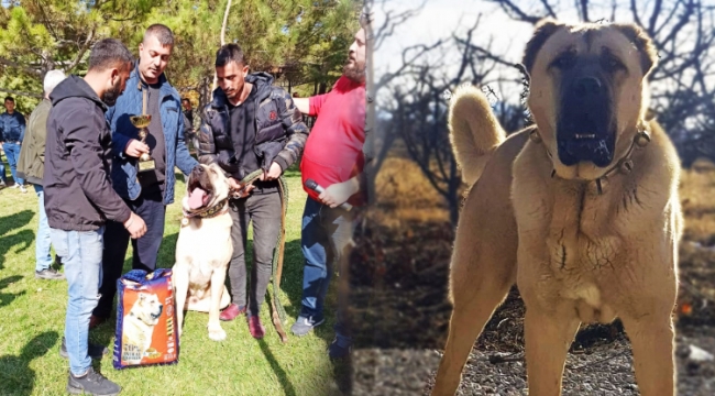 Karaman'ın gururu oldu!