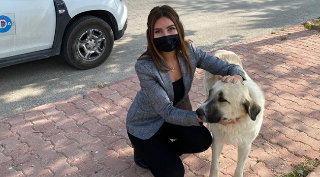 Tüm Enerjimizle Sevimli Dostlarımızın Yanındayız