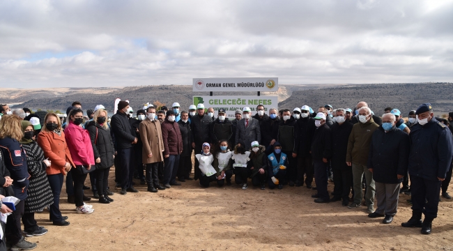 Karaman&#039;da fidanlar toprakla buluştu