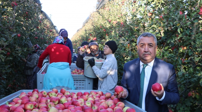 Karaman&#039;dan 20 ülkeye elma ihracatı