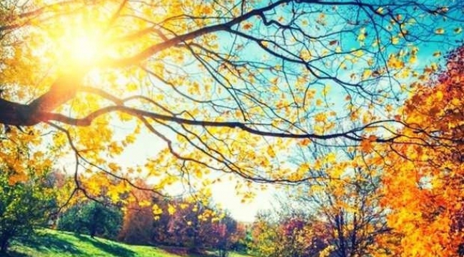 Yağmur sonrası pastırma sıcakları geliyor!