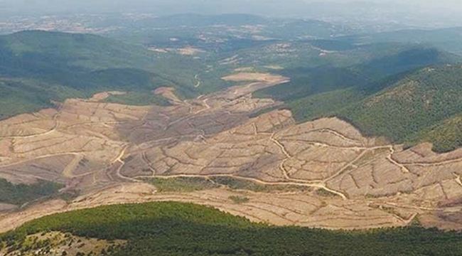 Ayvalık&#039;ta Hazine taşınmazı satış ihalesi