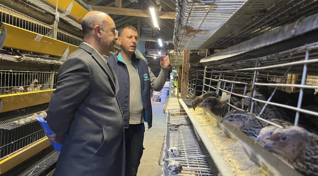 Dünya&#039;da bir numara olacak