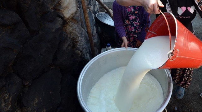 Sütte büyük oyun!