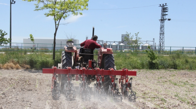 Konya Şeker, pancar taban fiyatında artışa gitti 