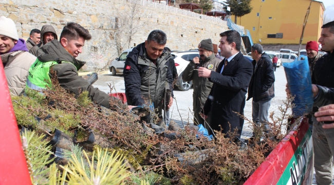 Vatandaşlara fidan dağıtıldı