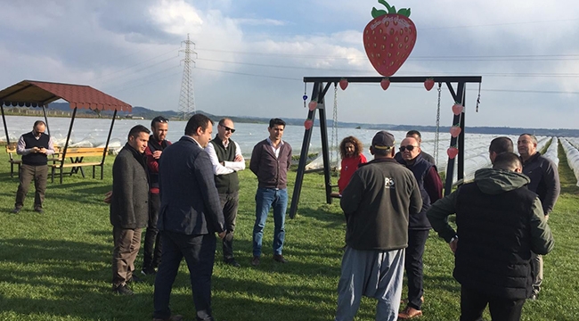 Karaman’dan Adana’ya ‘Çilek’ ziyareti