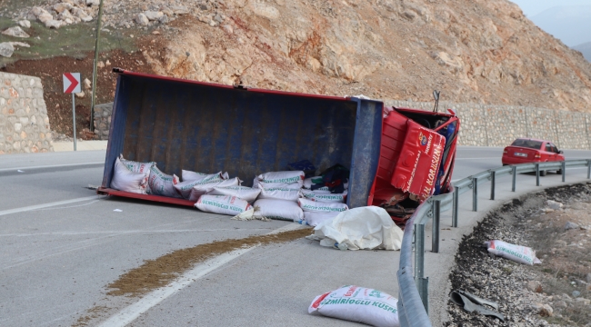 Yem yüklü kamyon devrildi