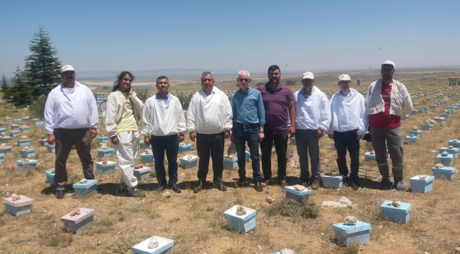 Arıcılar sezondan umutlu