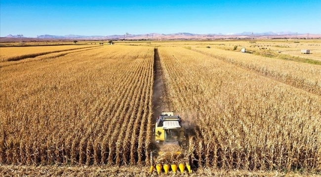 “Türkiye’nin Tahıl Ambarı Karaman!”