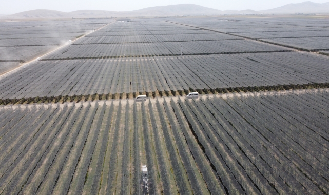 Avrupa’nın en büyük elma bahçesi Karaman’da!