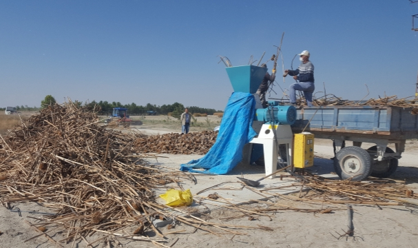 Tarımsal atıktan yapılan gübre verimi artırdı