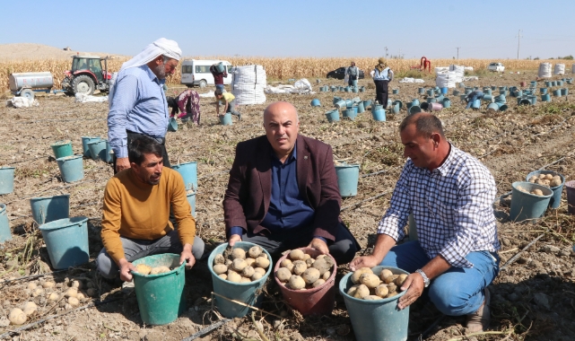 Karaman, cipslik patateste ön plana çıkıyor