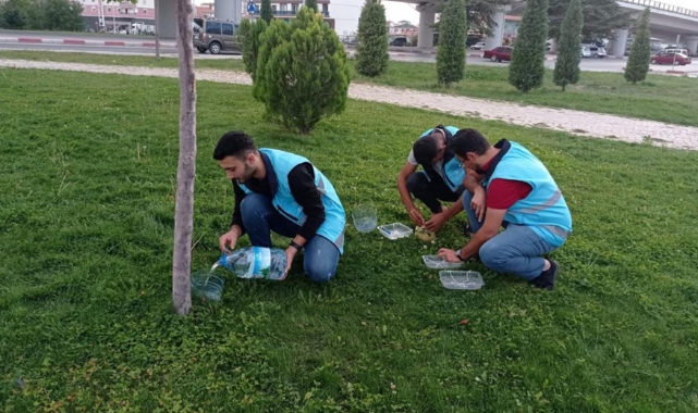 Öğrenciler hayvan sevgisine dikkat çektiler