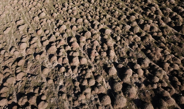 “Biyolojik çeşitliliğin öneminin farkına varalım”