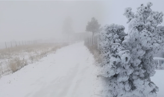 Karaman&#039;da kar kapıya dayandı