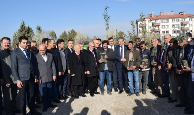 Çiftçilere fidan dağıtıldı