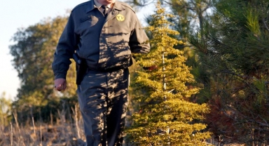 Daimi işçi alınacak