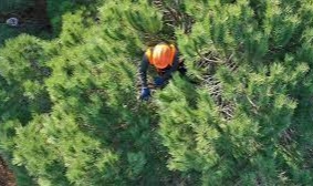 Geçici İşçi alınacak