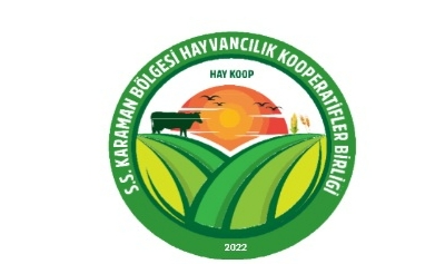 HAY-KOOP’ta Kılıçaslan başkan seçildi