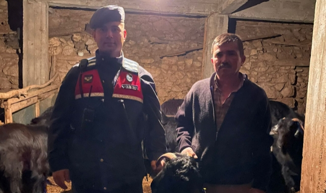 Kaybolan keçiler bulundu