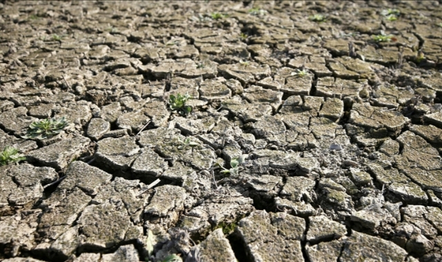 Çiftçilerin umudu bahar yağmurlarında