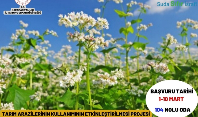 Hibeli tohum desteği projesi başladı