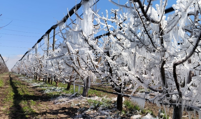 Karaman&#039;da Mart ayında şaşırtan görüntü