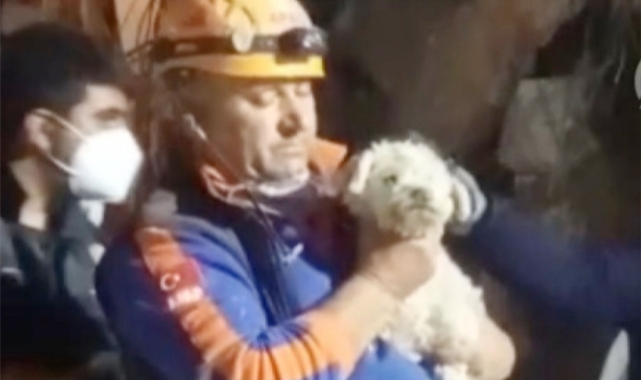 Karamanlı ekip enkazdan bir köpek çıkarttı
