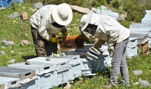 Arıcılara büyük destek