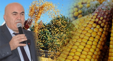 Dağ taş yine mısır olacak