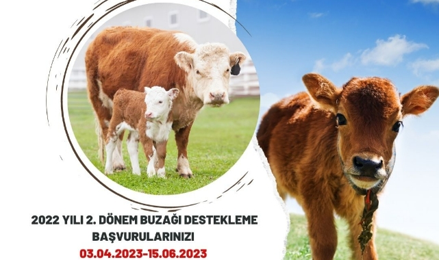Destek başvuruları başladı