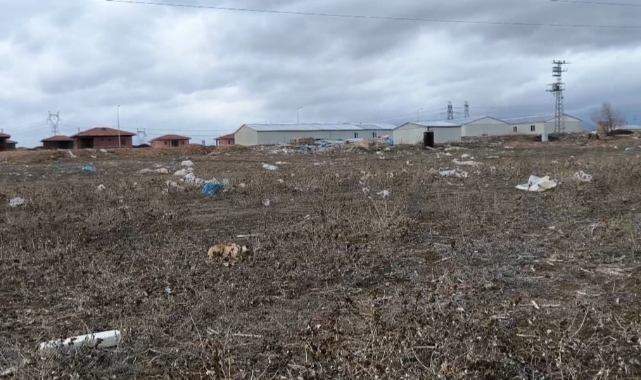 Sanki Karaman’ın çöplüğü!