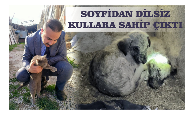 Soyfidan dilsiz kullara sahip çıktı
