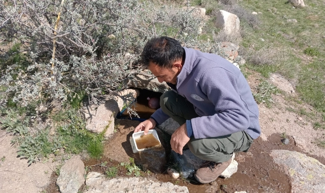 Su pınarlarının bakım çalışması yapıldı