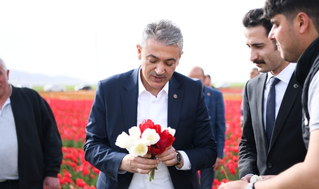 Vali Akkoyun Lale bahçesini inceledi