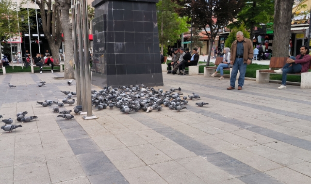 Atatürk Parkının havası değişti