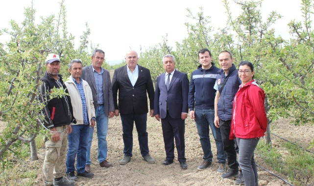 Biyoteknolojik mücadele artıyor