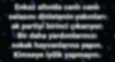 Karaman'da iğrenç görüntü