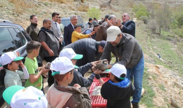 Keklikler ait olduğu yerde