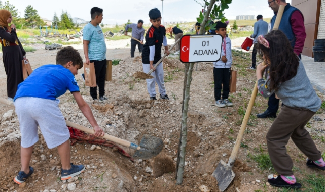 KMÜ’de fidan dikildi