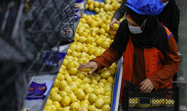 Nisan ayında limonun suyu çıktı