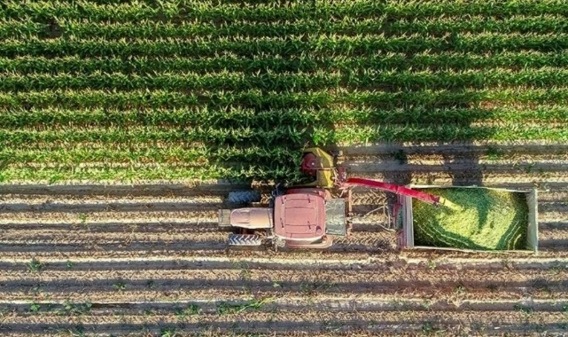 Sebze ve meyve üretimi rekor kıracak