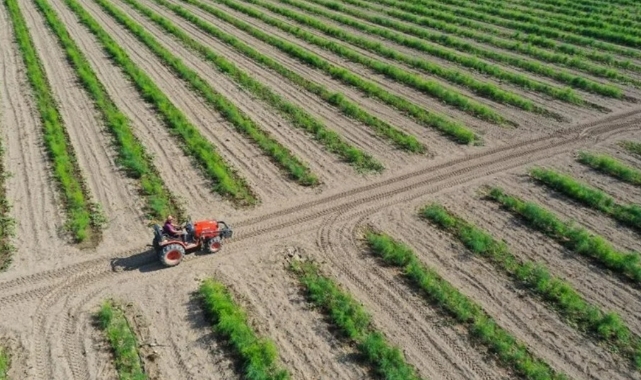 Tarımsal girdilerde artış yaşandı