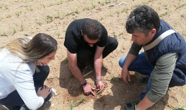 Tel kurdu ve bozkurt uyarısı