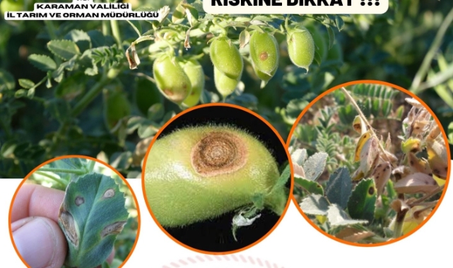 Üreticilere dikkat!