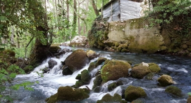 Zeyve Pazarı (Ermenek)