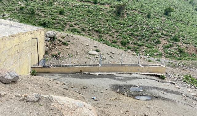 At hırsızları yakalandı